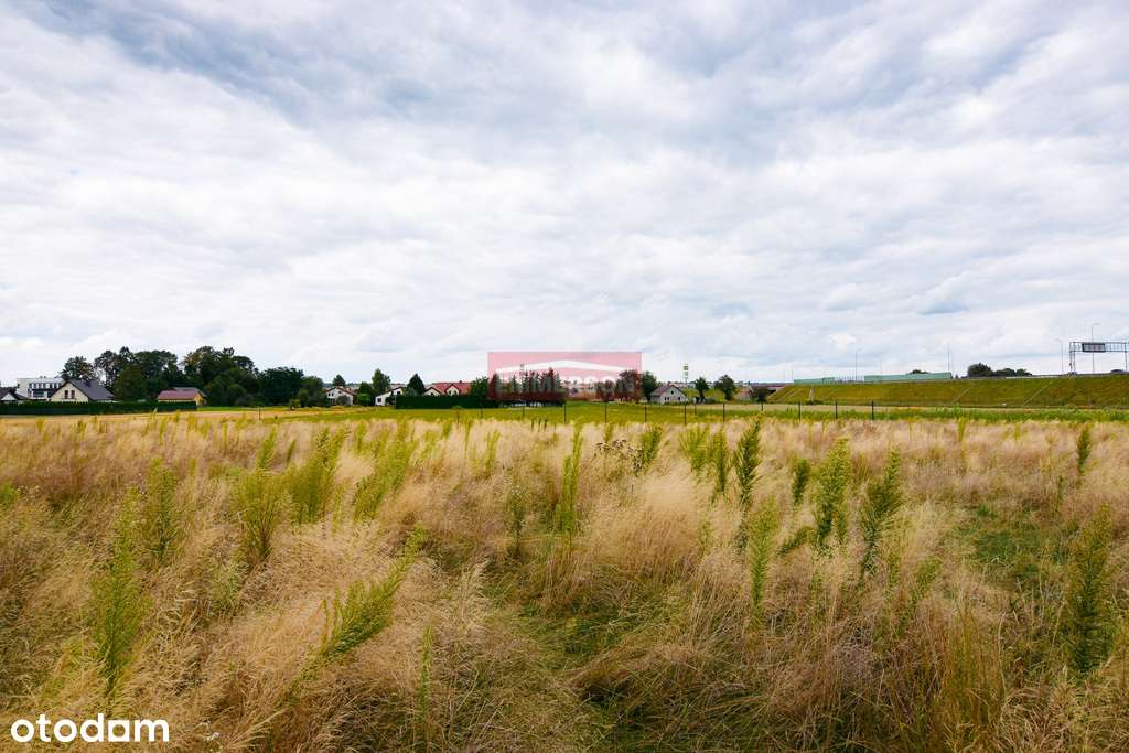 Poskwitów- Działka budowlana, płaska, słoneczna - Pełny obrazek: 2/5