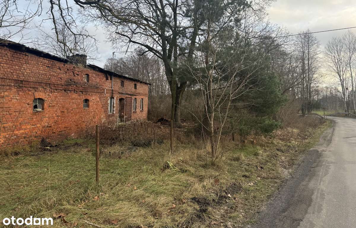 Sprzedam siedlisko 4300 m2 - Pełny obrazek: 5/7