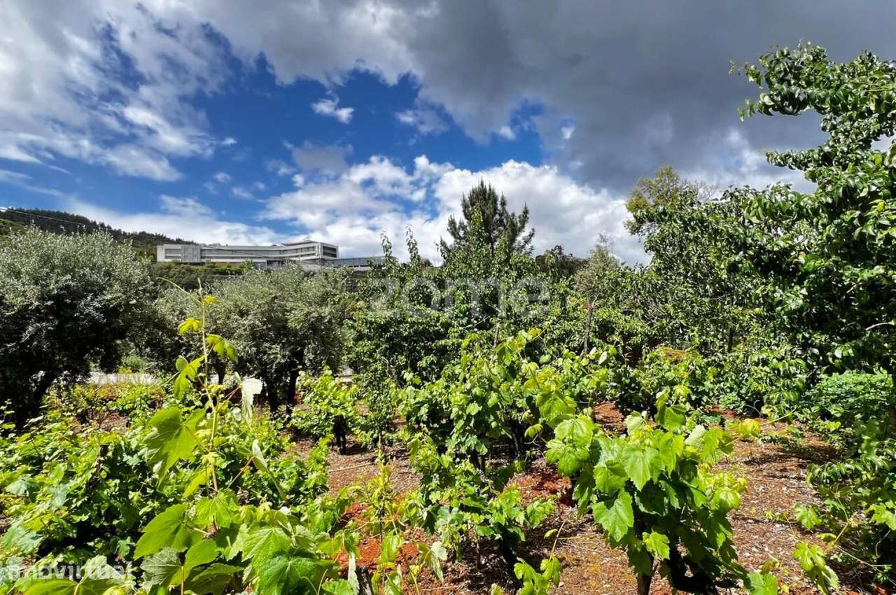 Terrenos Urbanizáveis com 680 e 1.630 m2 - Pampilhosa da Serra-6