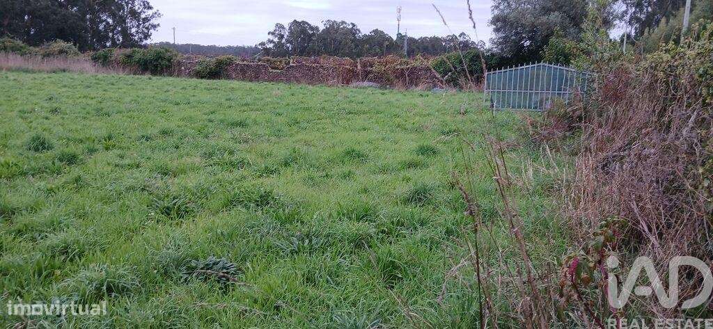 Terreno Agrícola em Fonte Boa e Rio Tinto - Grande imagem: 4/35