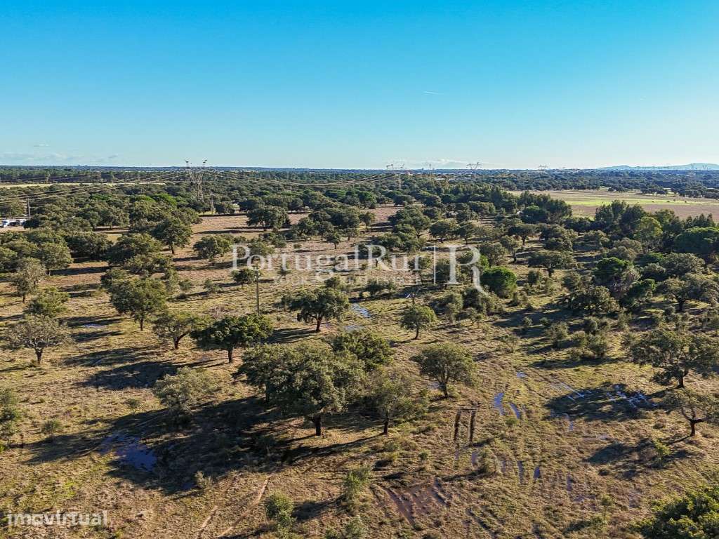 Herdade de 60 hectares para criação bovina e equina perto de Lisboa-24