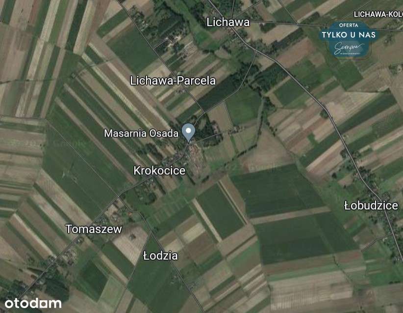 Zalesiona działka z możliwością zabudowy - Pełny obrazek: 5/20