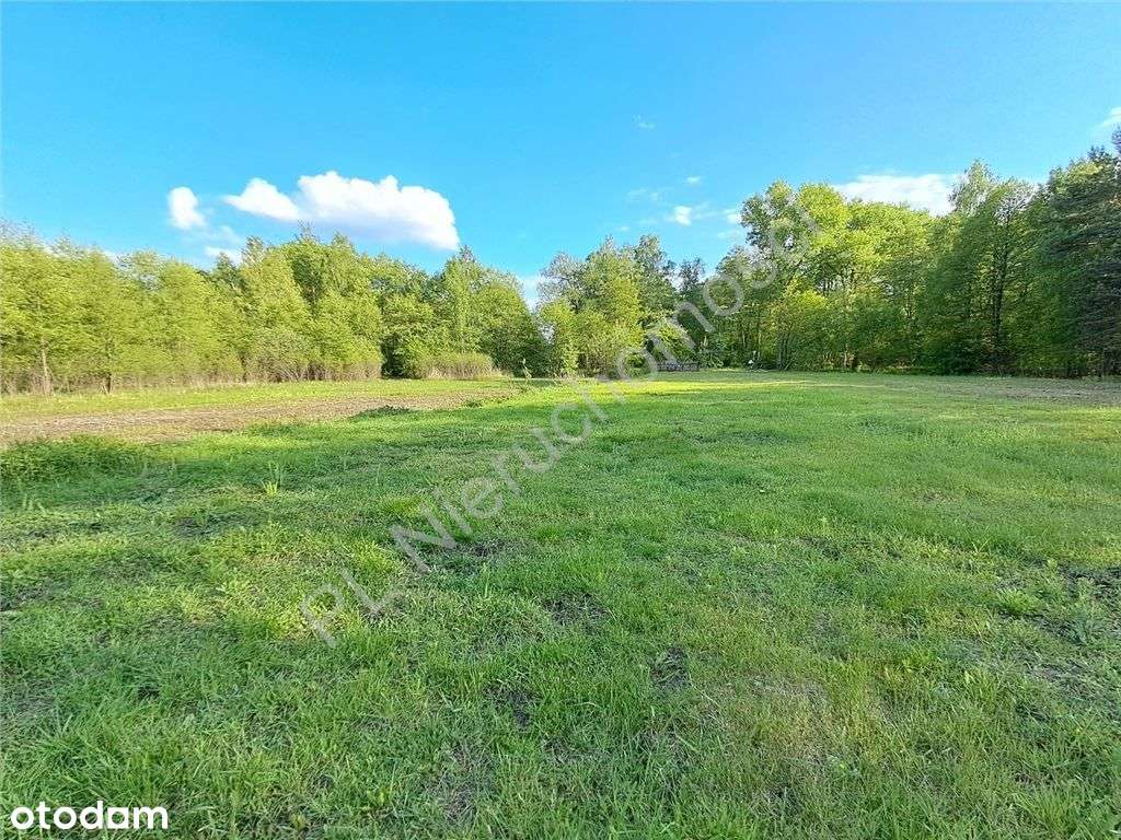 Teren inwestycyjny - usługi - hotel, agroturystyka - Pełny obrazek: 4/13