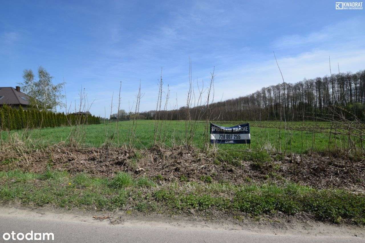Radawiec Duży - działka pod inwestycję dewelopersk - Pełny obrazek: 5/5