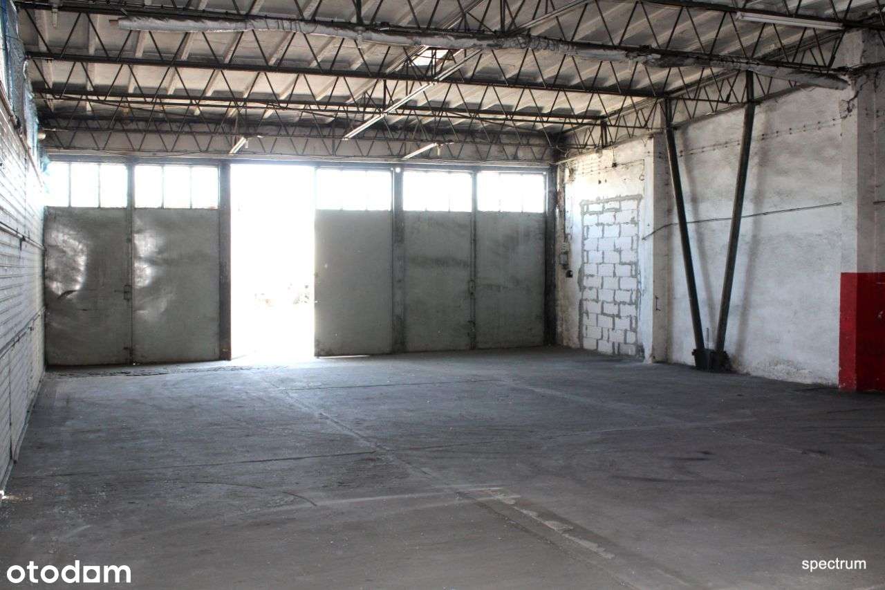 Hala 180 m2 - 3 bramy wjazdowe - Pełny obrazek: 3/4