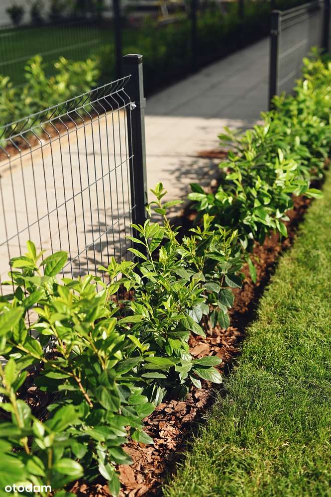 PROMOCJA!Zielone Naramowice: 2-pokojowe Mieszkanie z ogródkiem! - Pełny obrazek: 5/17