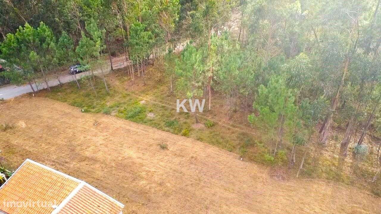 Terreno Plano para Construção em Souto, Santa Maria da Feira - 1977m2 - Grande imagem: 2/15
