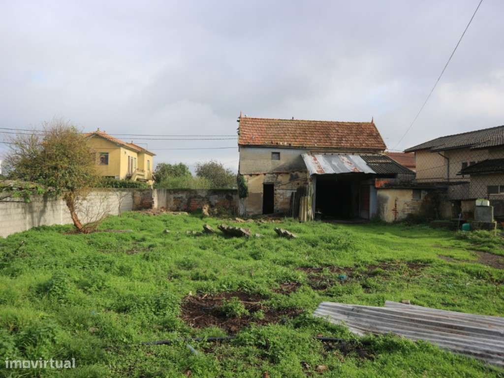 DOIS ARTIGOS - MURTOSA-5