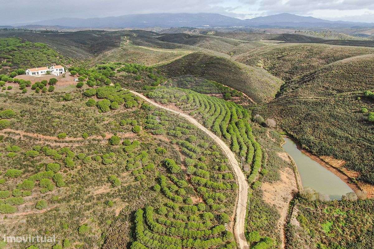 Quinta T6 para venda-5
