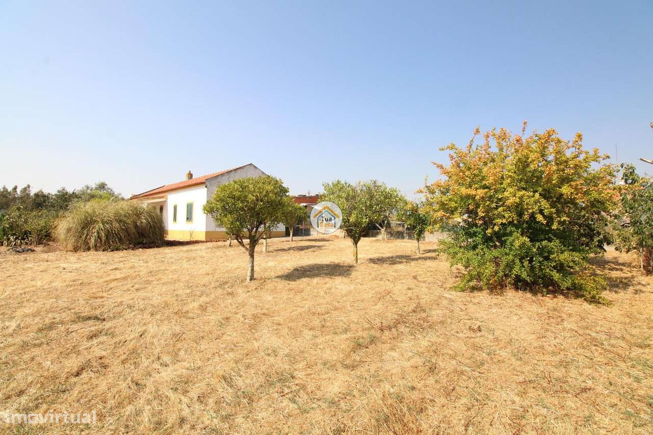 Quinta de 3050m2, Moradia T2 e Anexo 103,50m2 localizada em Foros de V - Grande imagem: 5/45