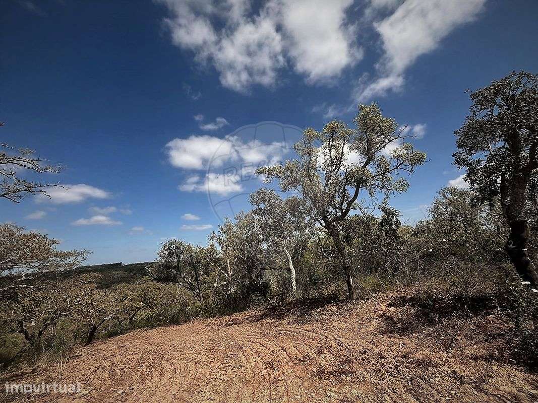 Terreno  para venda - Grande imagem: 4/5