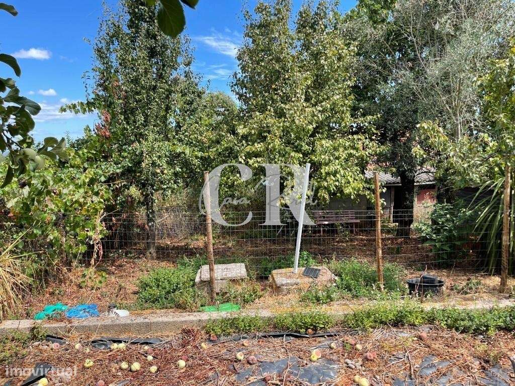 Moradia Térrea Isolada de 2 Quartos com Jardim, Anexos e Garagem, entr-25