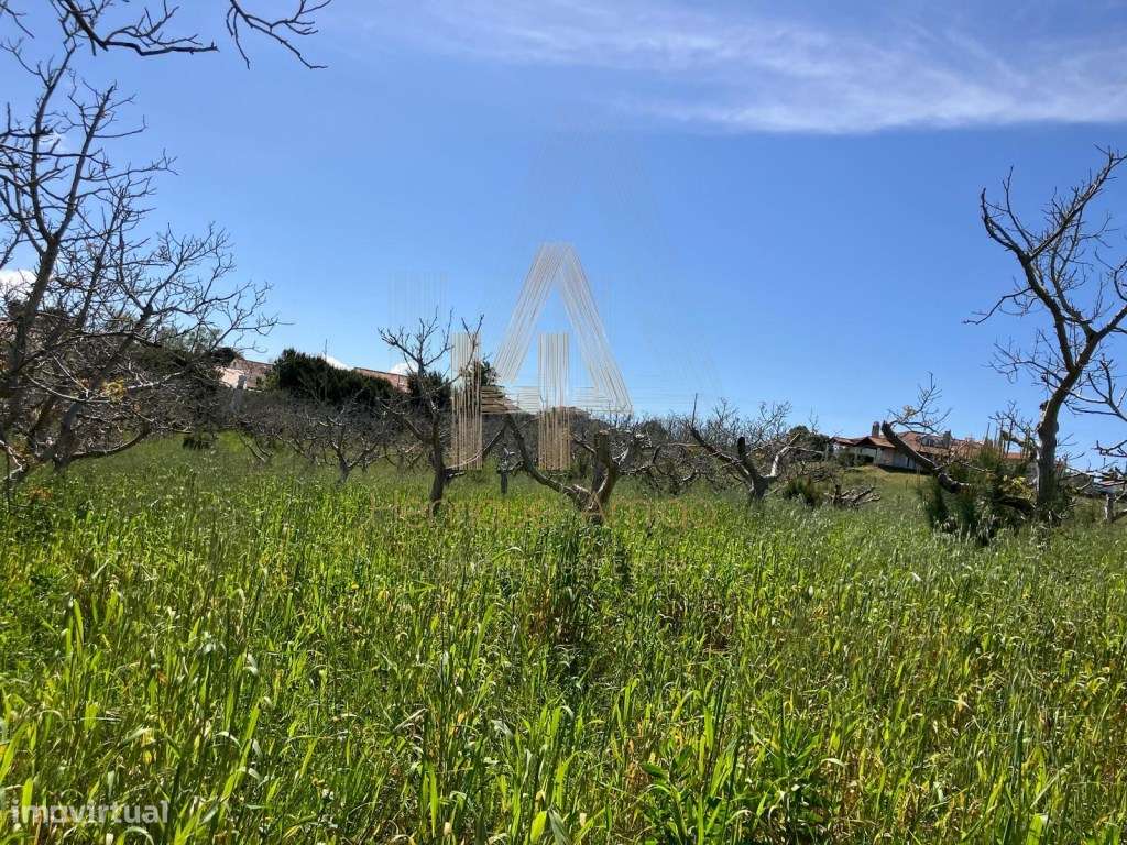 Propriedade Industrial / Produção e Habitação Própria - Grande imagem: 3/11