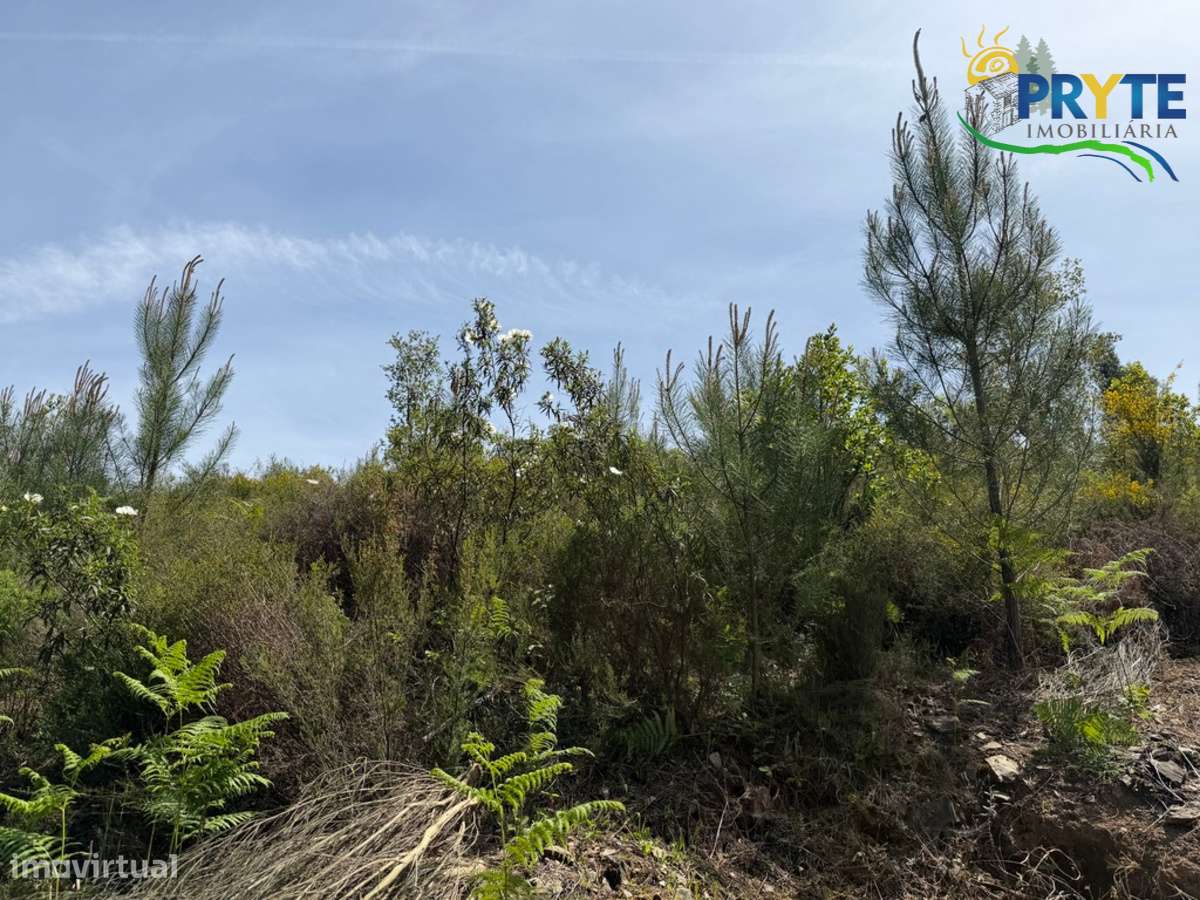 Terreno com uma ruína não registada a 6 quilómetros da Sertã-7