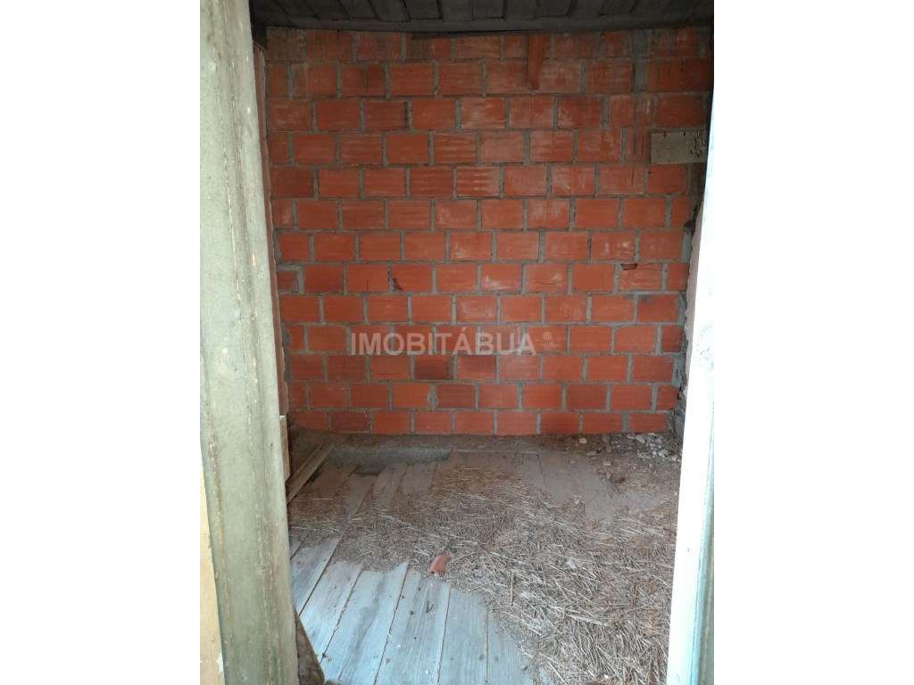 Quinta de Mirtilos com mais de 3 Hectares, localizada perto de Tondela-25