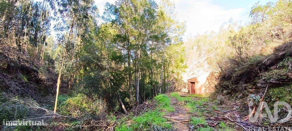 Terreno em Monchique de 30,00 m2 - Grande imagem: 4/11