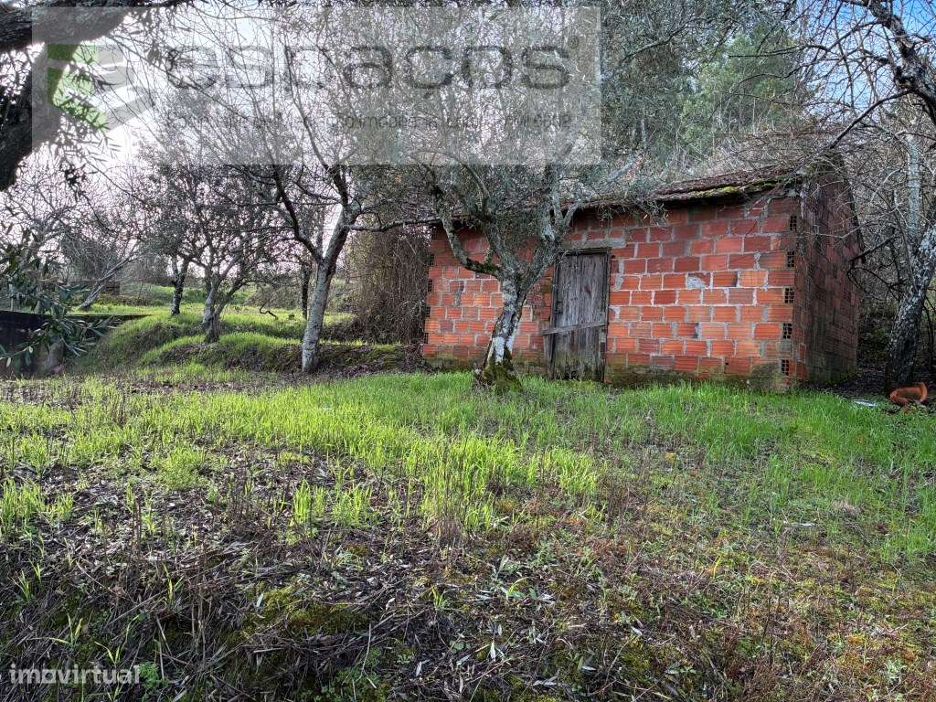 Terreno Urbano - Grande imagem: 3/11