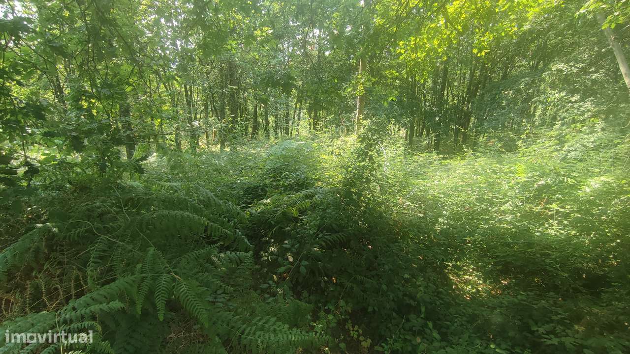 Terreno em Fiscal, Amares-5