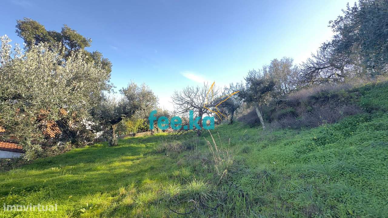 Terreno Rural em Cebolais de Cima - Grande imagem: 5/11