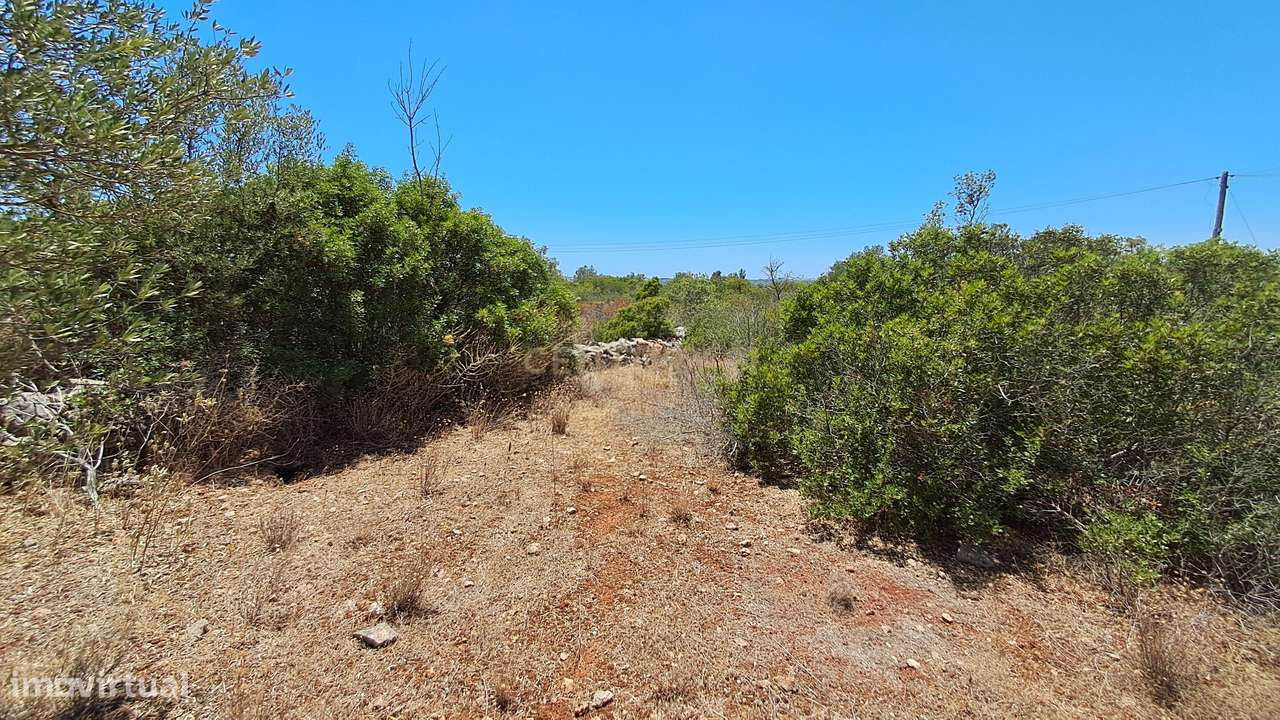 Terreno com 9.135 m² em Boliqueime-20