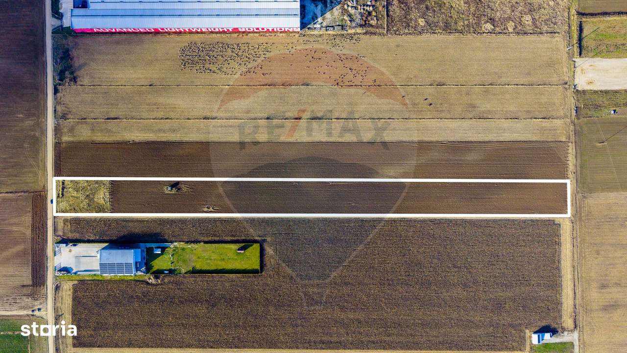 COMISION 0% Teren 25,000mp Ghimbav / Strada Sanzienei-9