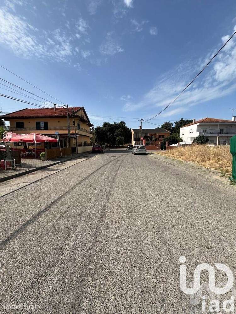 Terreno Agrícola em Amora - Grande imagem: 4/8