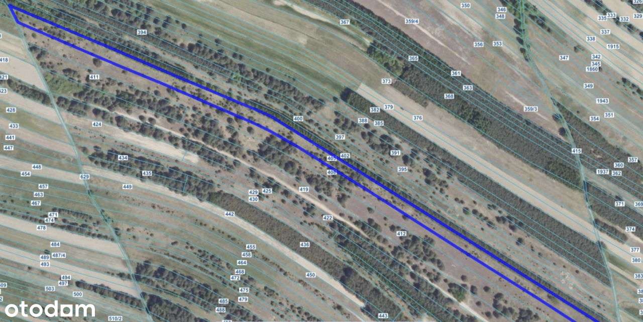 Na sprzedaż 4 działki(dwie budowlane i dwie rolne) - Pełny obrazek: 4/4