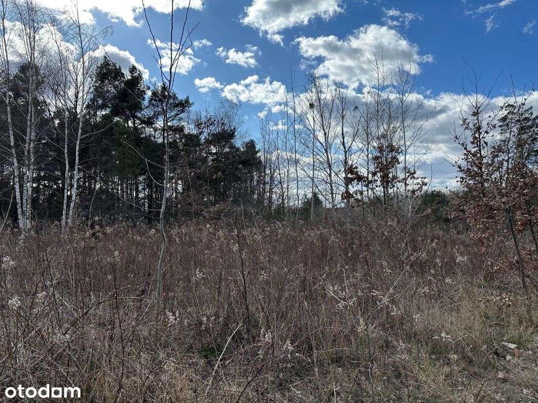 Działka, 596 m², Warszawa - Pełny obrazek: 5/10