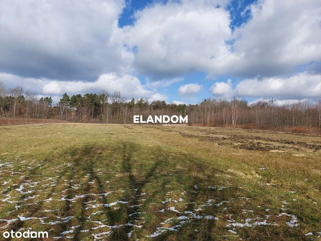 Przy drodze asfaltowej, duża działka - Pełny obrazek: 4/6