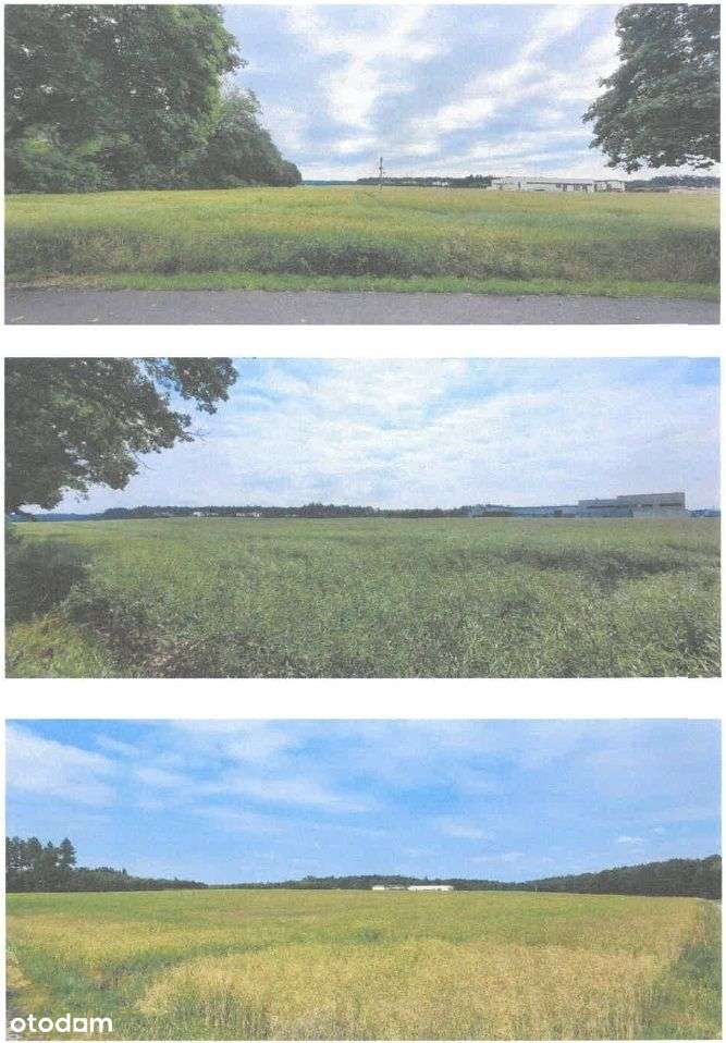 Przetarg - Kalsk gmina Sulechów - Pełny obrazek: 4/4