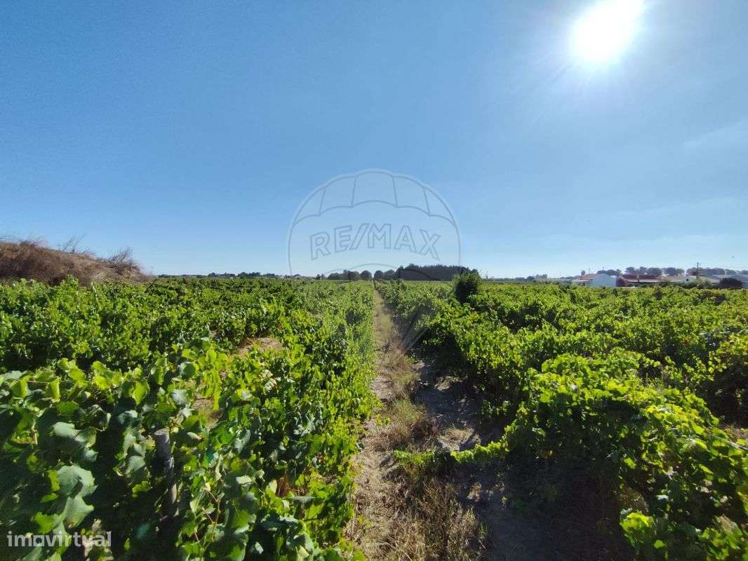 Terreno  para venda - Grande imagem: 3/4