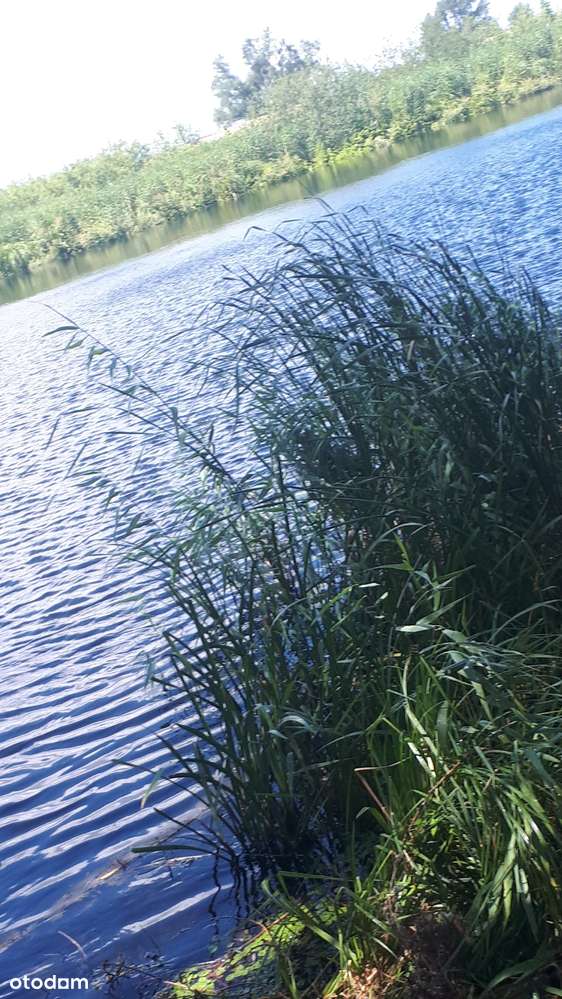 Działka rolna na sprzedaż, świetna lokalizacja!-6