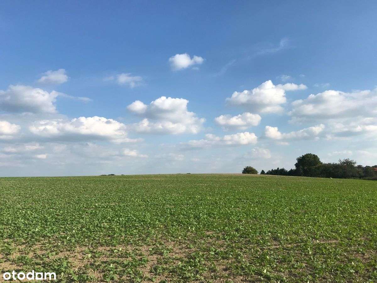 Malowniczo położona działka w Pilchowicach-0