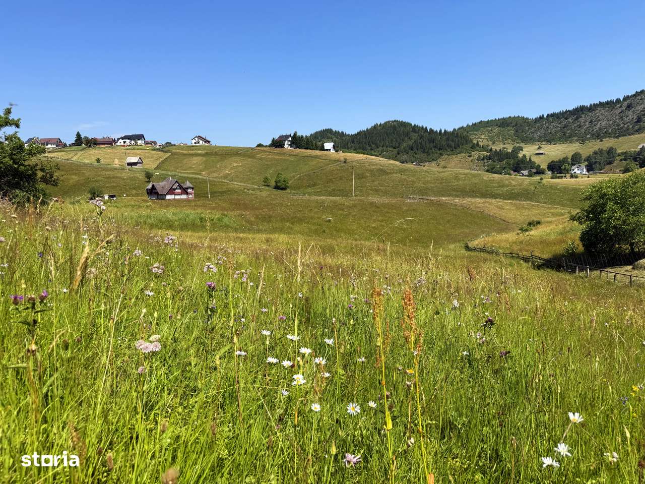 Teren intravilan, 8400 mp, comuna Fundata, zona Bran-Moeciu, Brasov-3