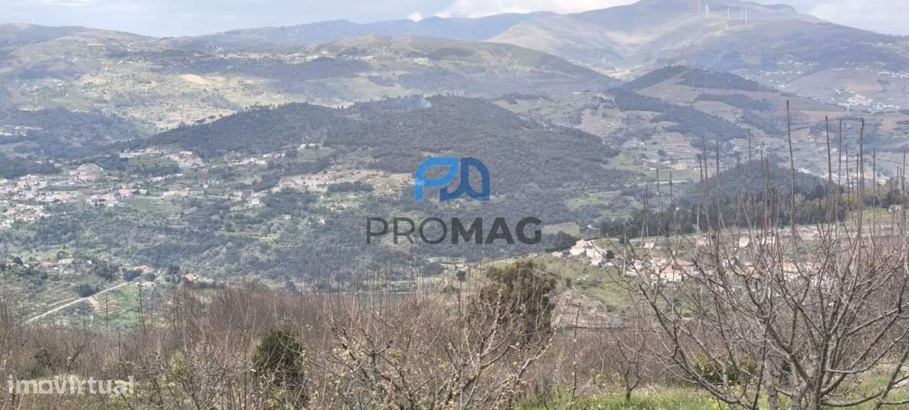 Terreno Urbanizável de 7959 m² com Armazém-54