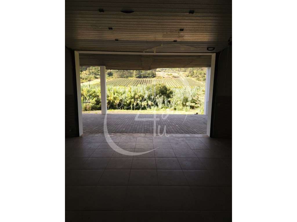 MORADIA T3 GEMINADA - SANTA CATARINA-19