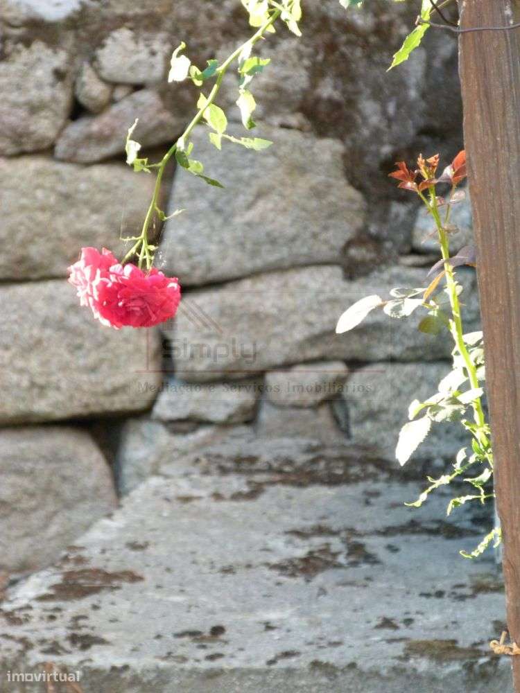 Moradia Mondim da Beira - Viseu-38