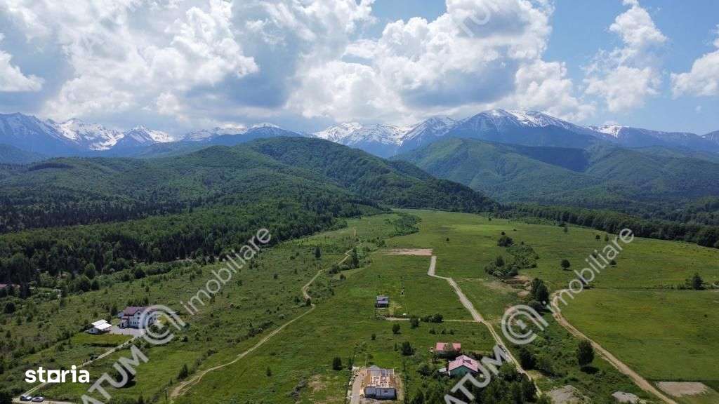 Teren Intravilan 1600 mp in Avrig zona Valea Avrigului - Imagine principală: 4/4