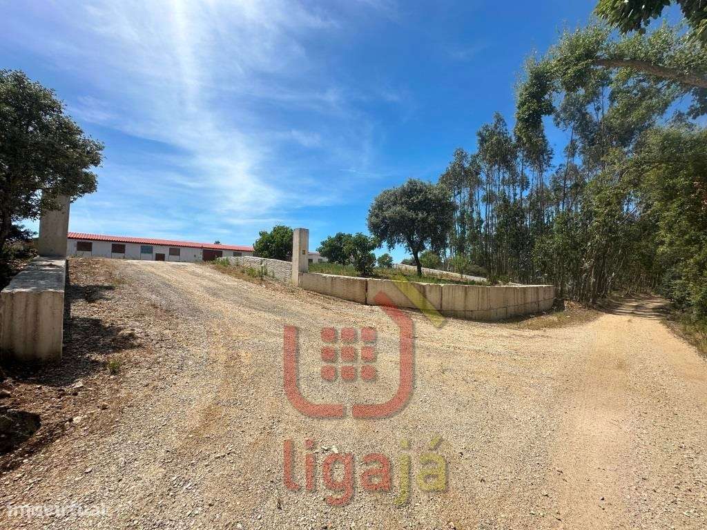 Armazém Industrial/Agropecuário com 9.700 m² de Terreno | Entre Our...-26