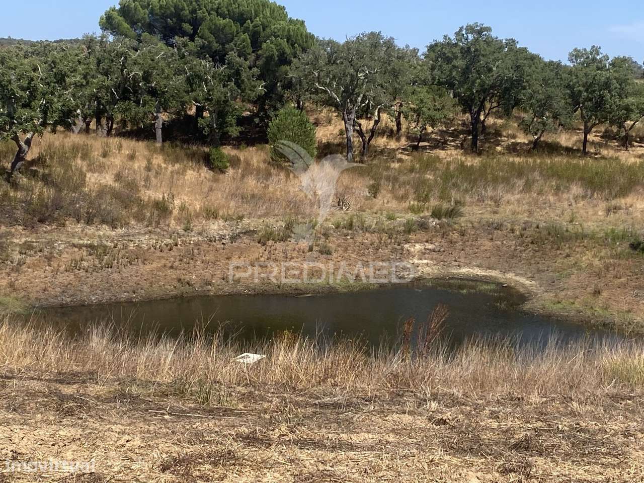 Herdade com 100ha em Santiago do Cacém - Grande imagem: 5/40