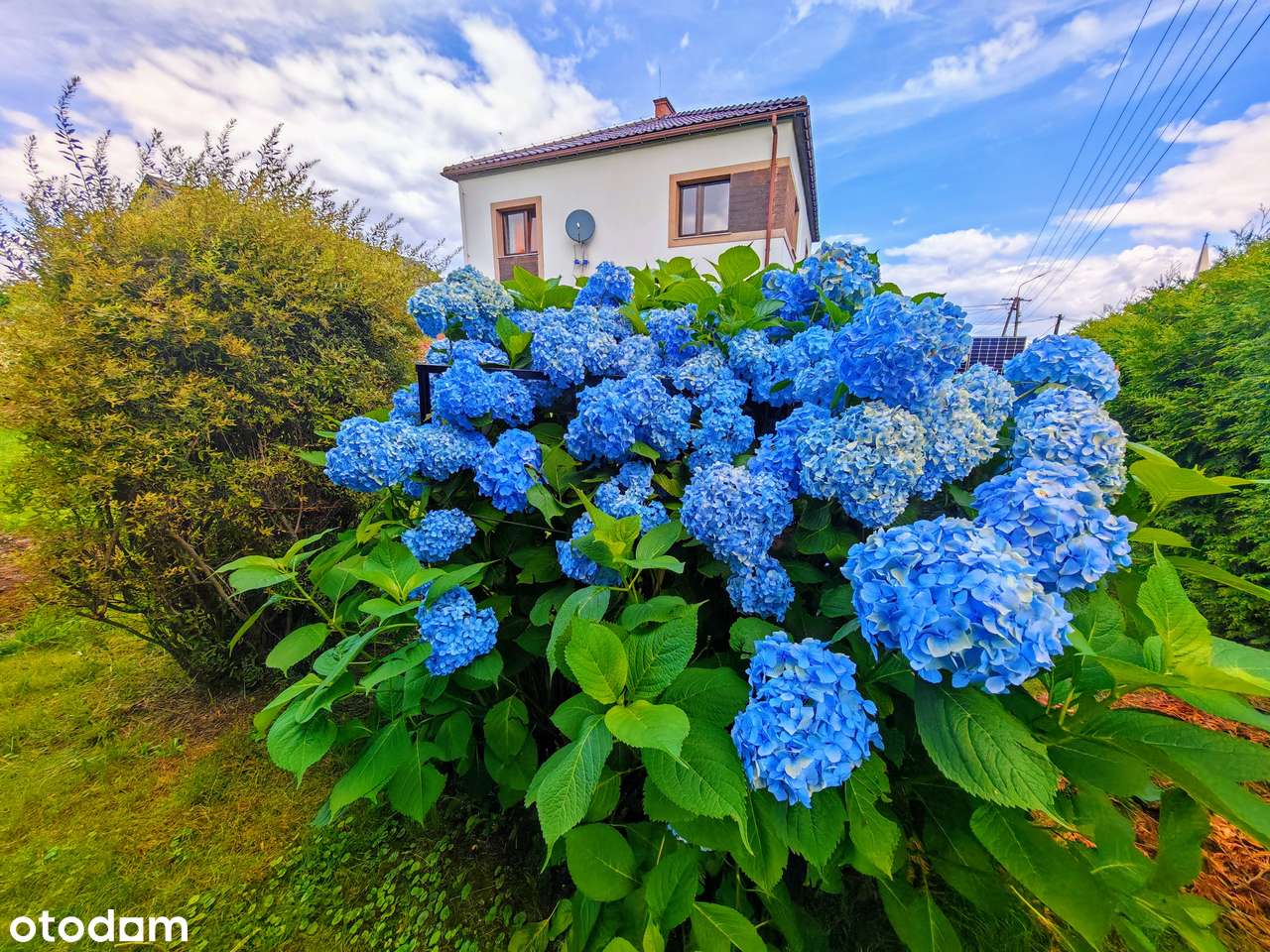 all inclusiv lokal, net 1Gb/s,wallbox11kw - Pełny obrazek: 5/13