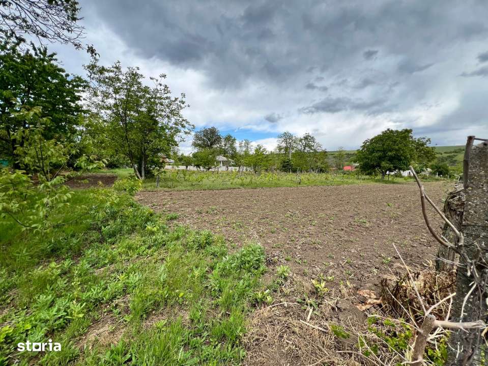 Casa + teren 4430 mp, vie si pomi fructiferi, 22 km de Tecuci-16