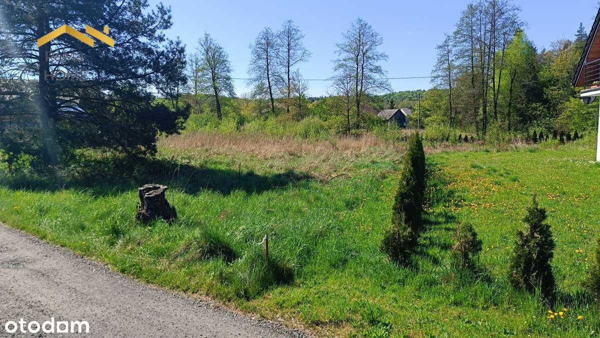 Przeginia Duchowna - 32,5 ara budowlana - Pełny obrazek: 4/16