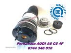 Perne aer Mercedes ML,GL, S Class,E Class,AUDI A6.A7,A8,Q7. BMW X5,X6, E70, E71, F11,E53,E61,F07,E39 - 10