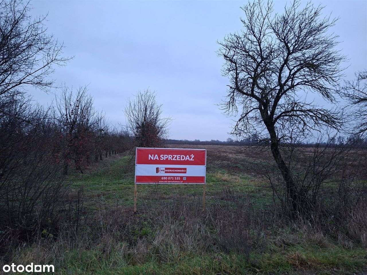 Działka rolna 1,7 ha, Czersk, gm. Góra Kalwaria-10