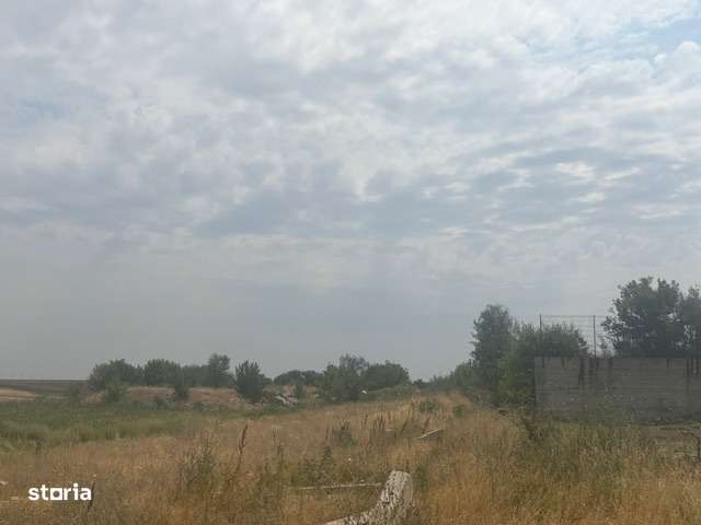 Teren extravilan 5000 mp, zona Pielesti - Imagine principală: 2/3