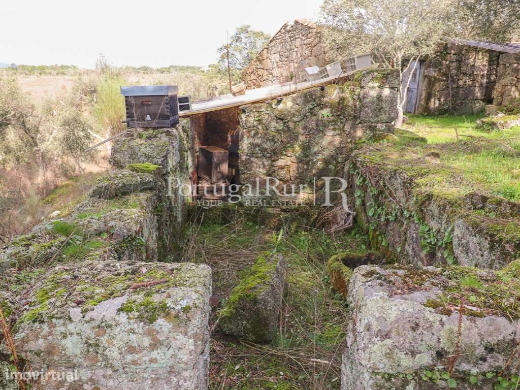 Quinta de 4,18 ha confinante com a ribeira na Orca, Fundão - Grande imagem: 5/47
