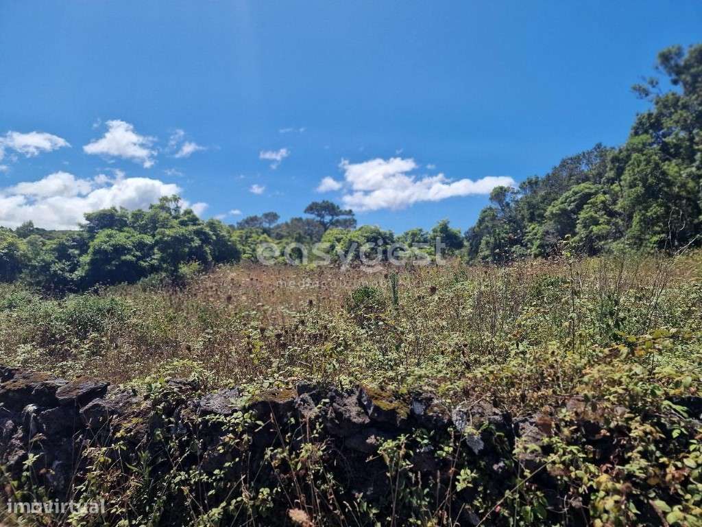Terreno com 31944m2 no Cabeço Chão na Madalena Ilha do Pico - Grande imagem: 2/15