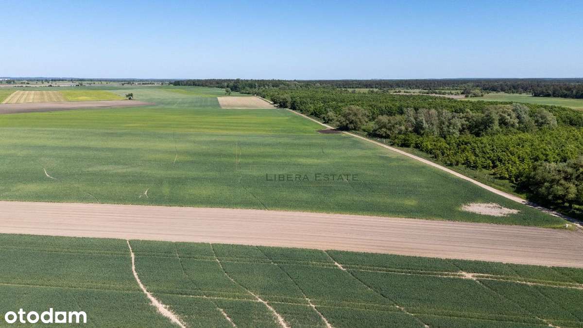 Chludowo, Budowlana, ul. Maniewska. 1200 m2. MPZP-11