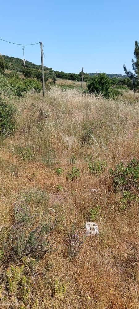 lote para construção - Grande imagem: 4/5